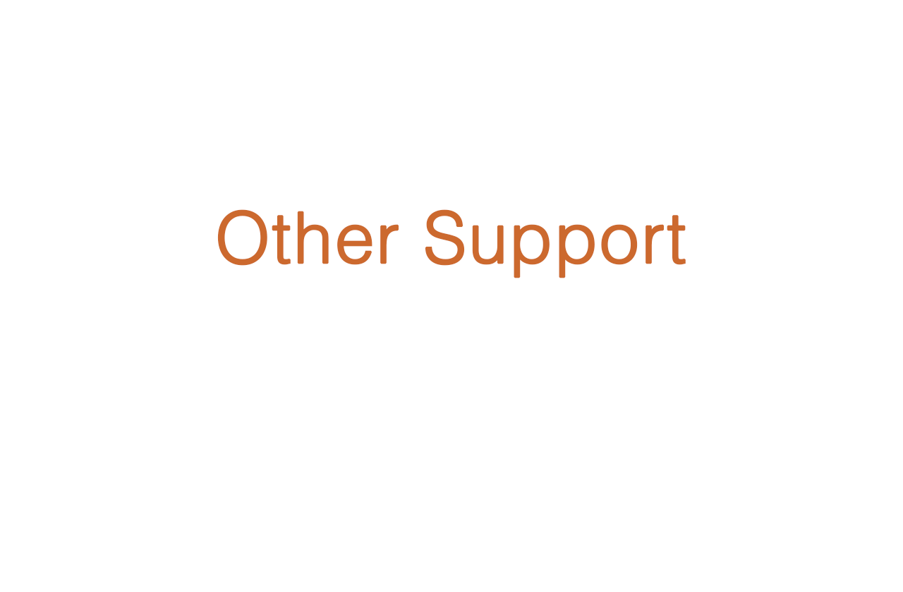 Other Support